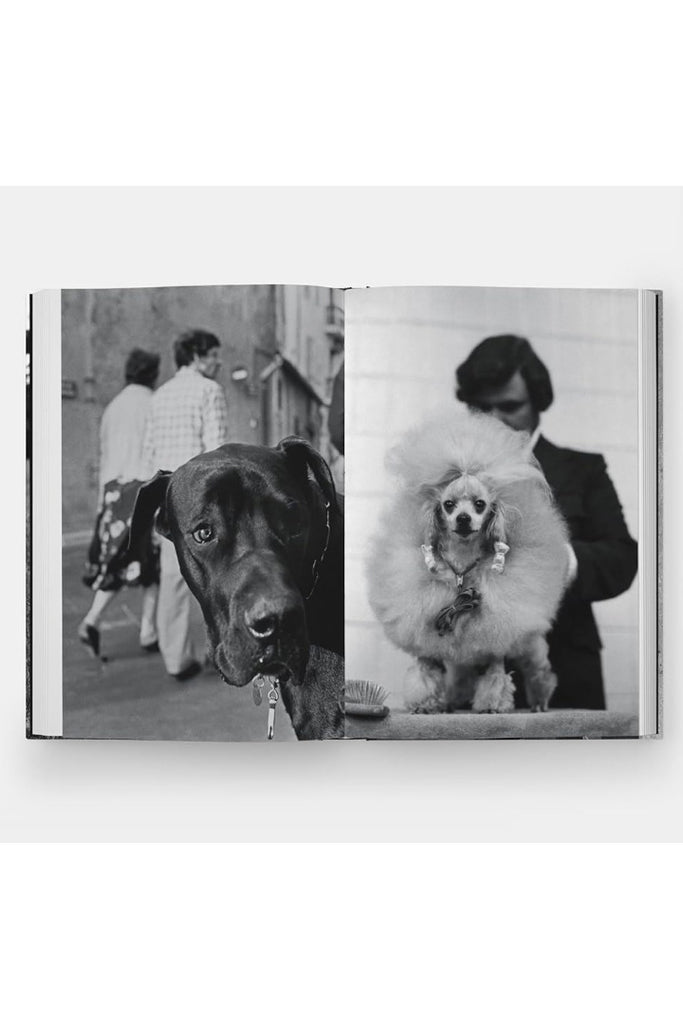 Bookspeed DogDogs