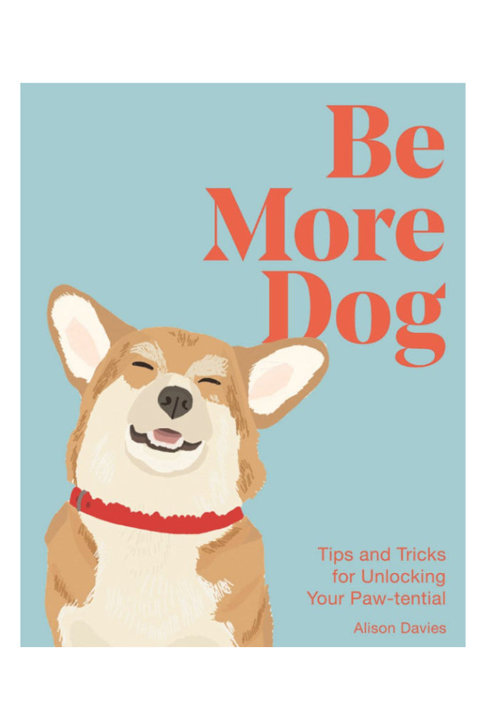 Bookspeed Be More Dog Book