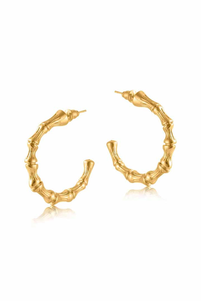 Big Metal London Summer Bamboo Plated Hoop Earrings